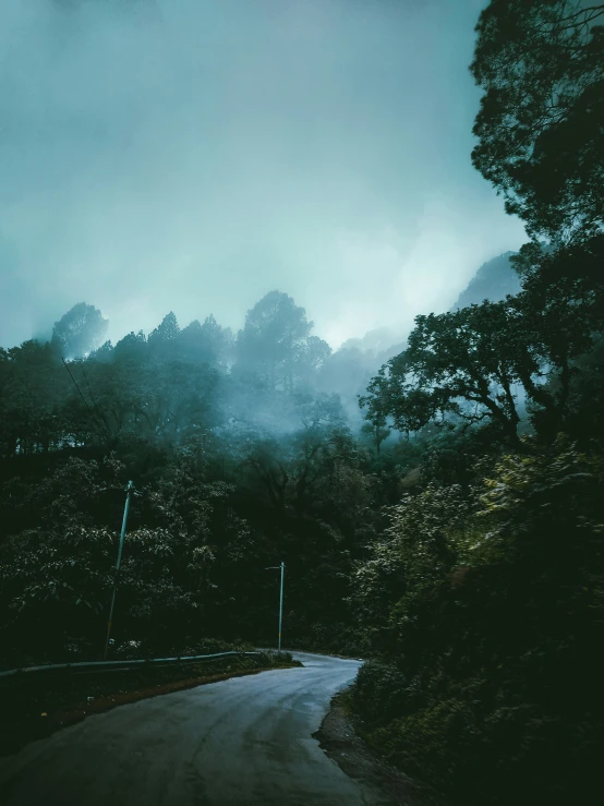 the road is winding through the trees and fog