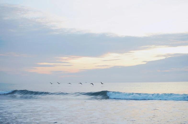 birds flying near waves with a blue sky background