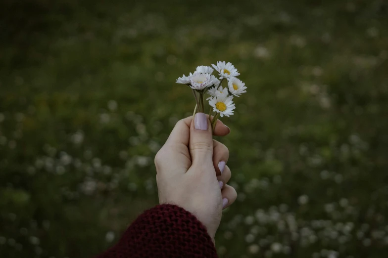 woman holding a flower in her hand, surrounded by many wildflowers