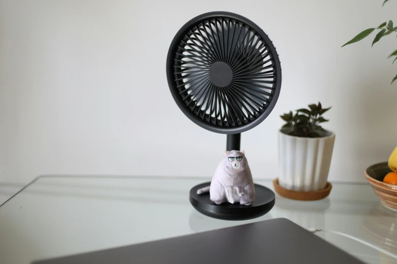 a table with a desk fan, banana and plant