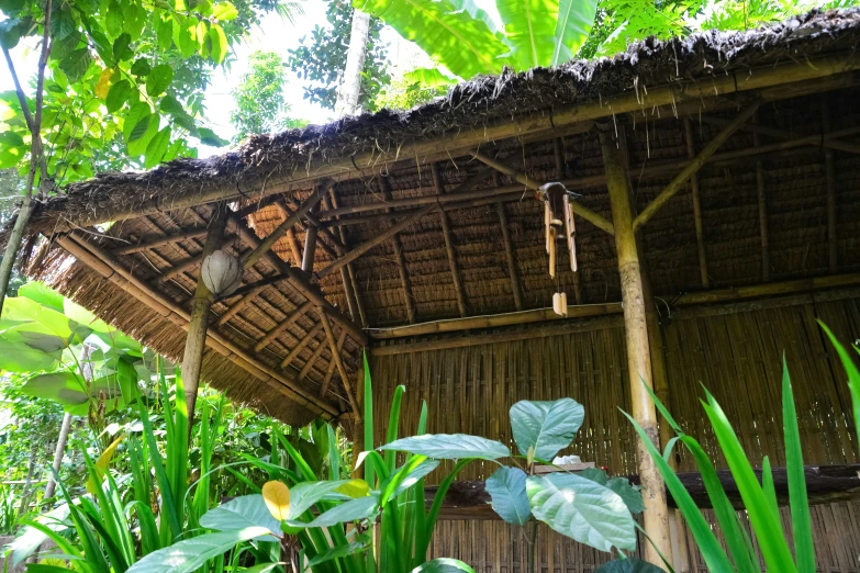 a hut that has a hanging birdhouse with plants in front of it