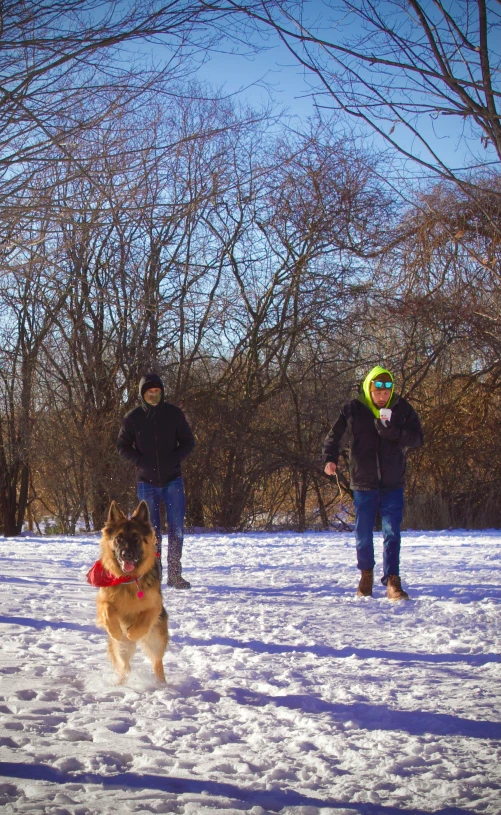 a dog is running in the snow near two men