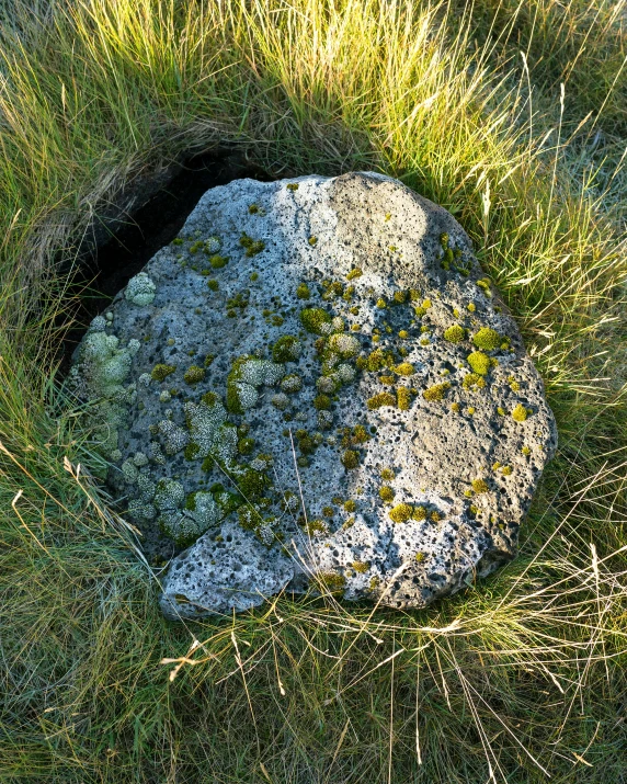 the top of a boulder in a grassy field