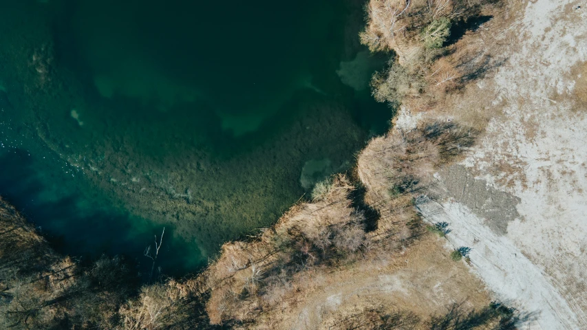 a body of water with trees surrounding it