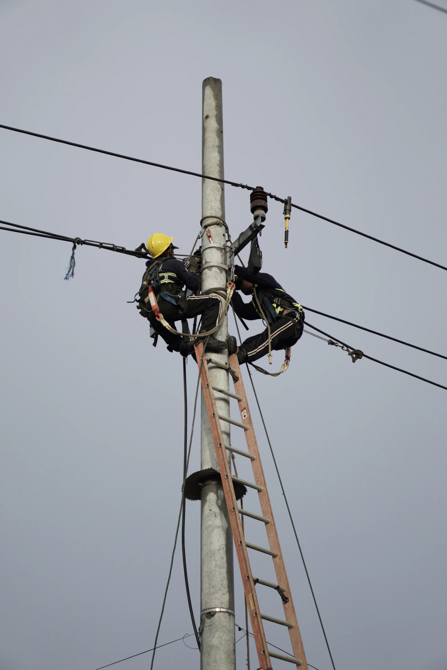 two people on ladders repair electrical wires on pole