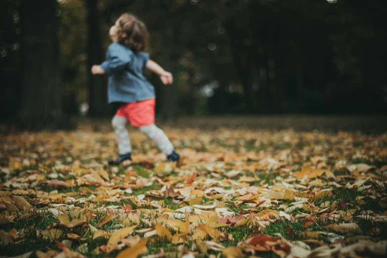 a  playing in the leaves of a park