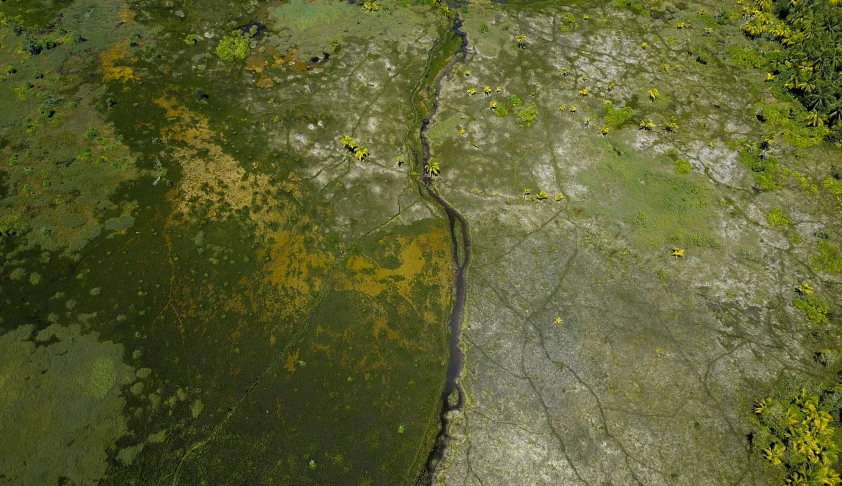 an overhead view of the ground and ground with lots of green