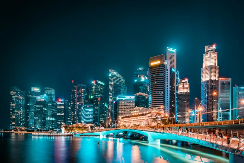 a city and the water are shown at night