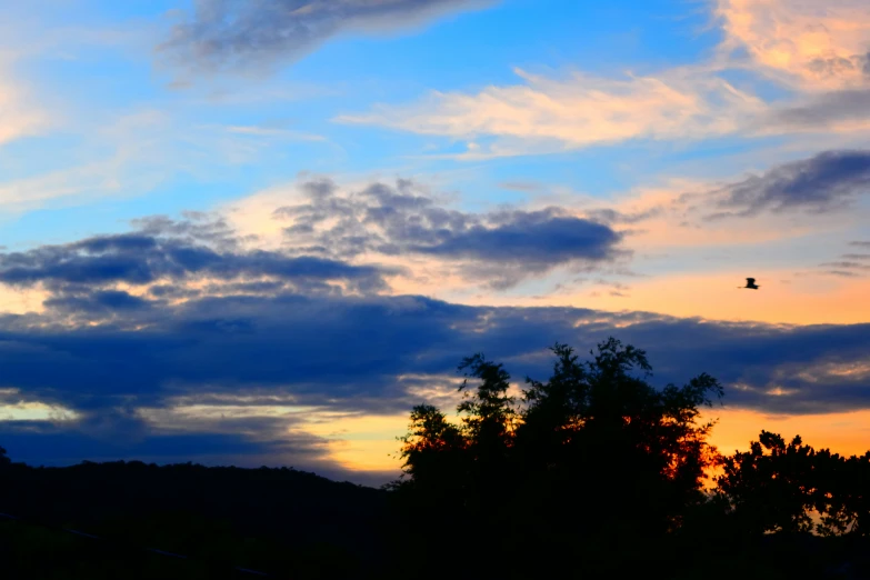 a plane flies over trees against the evening sky