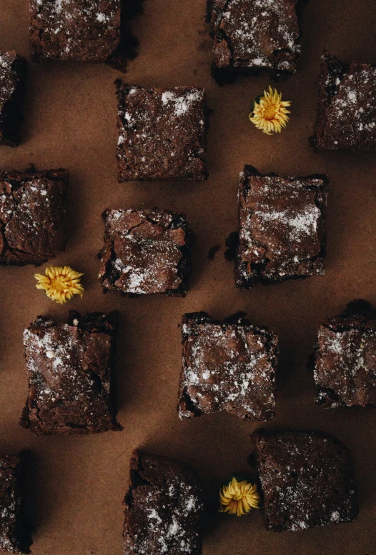 many squares of brownie have yellow flower on them