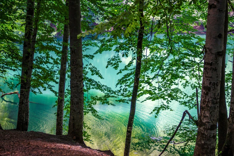 the view out to a lake from the top of a hill