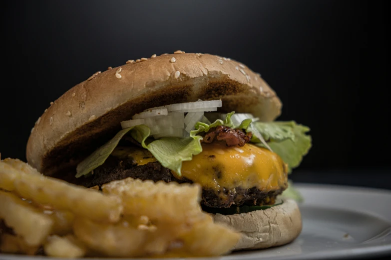 a hamburger on a plate with fries