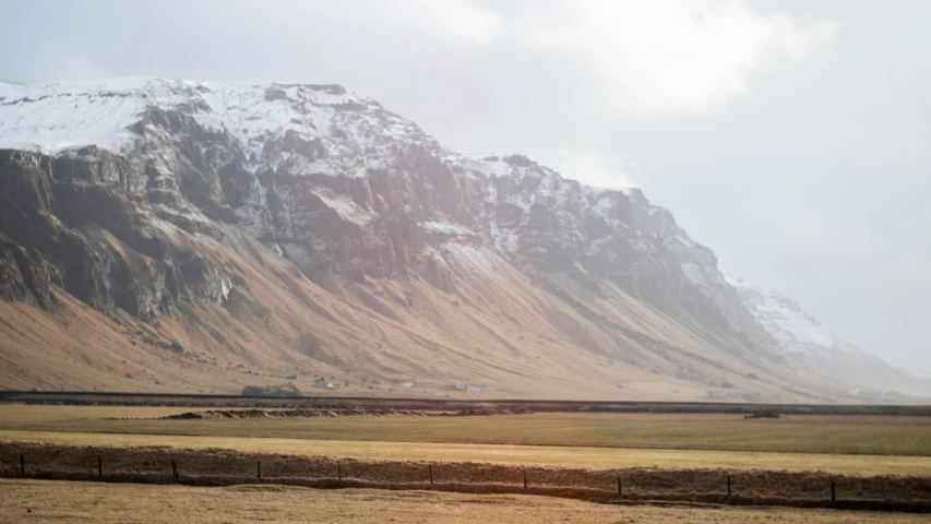 some sheep are out in the field with a mountain in the background