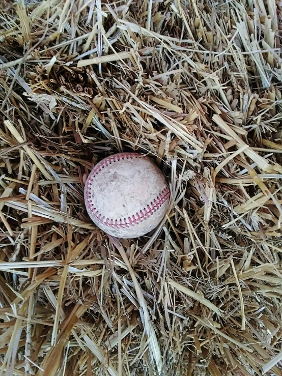 a baseball laying on top of hay covered ground
