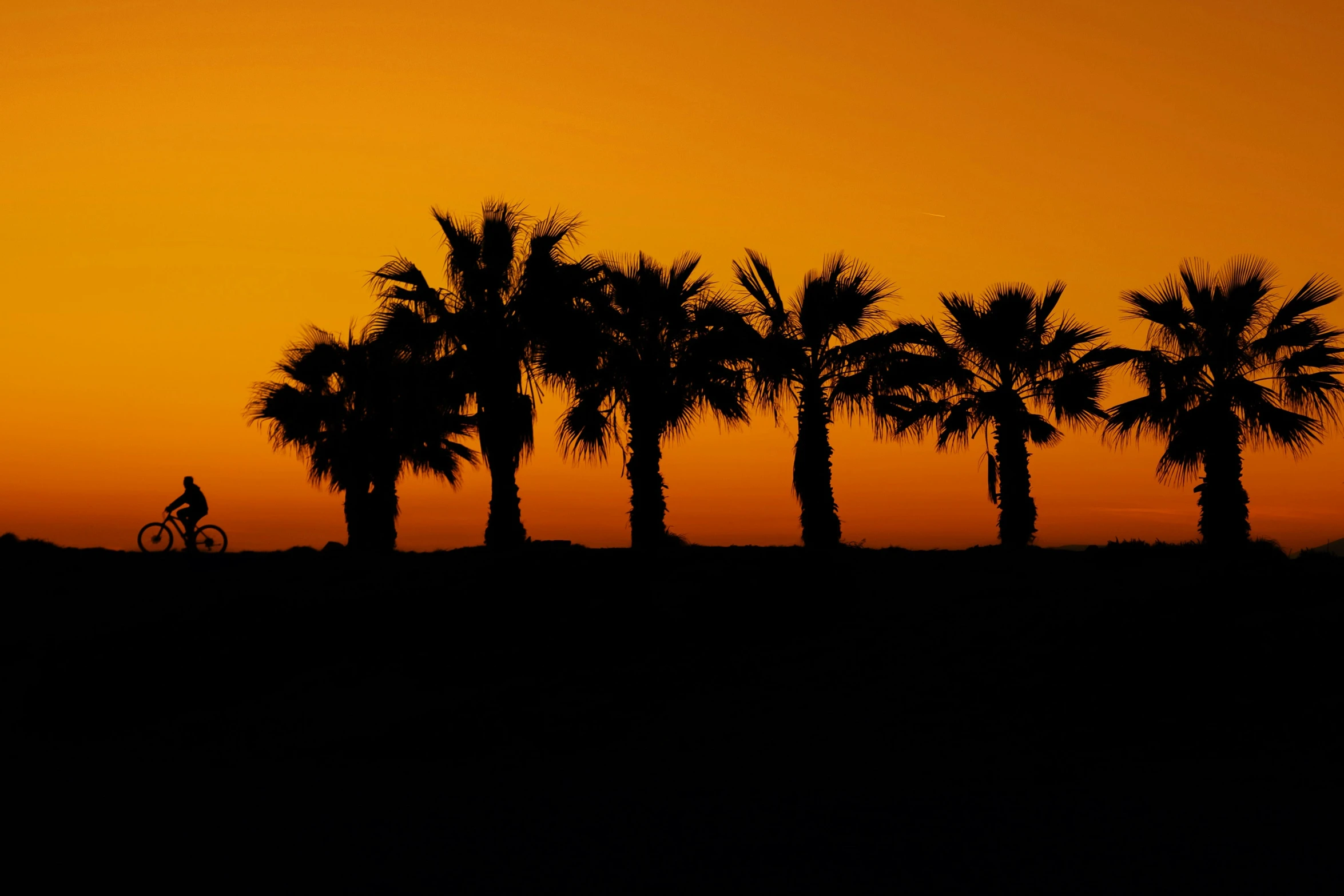 the palm trees are silhouetted against an orange sky