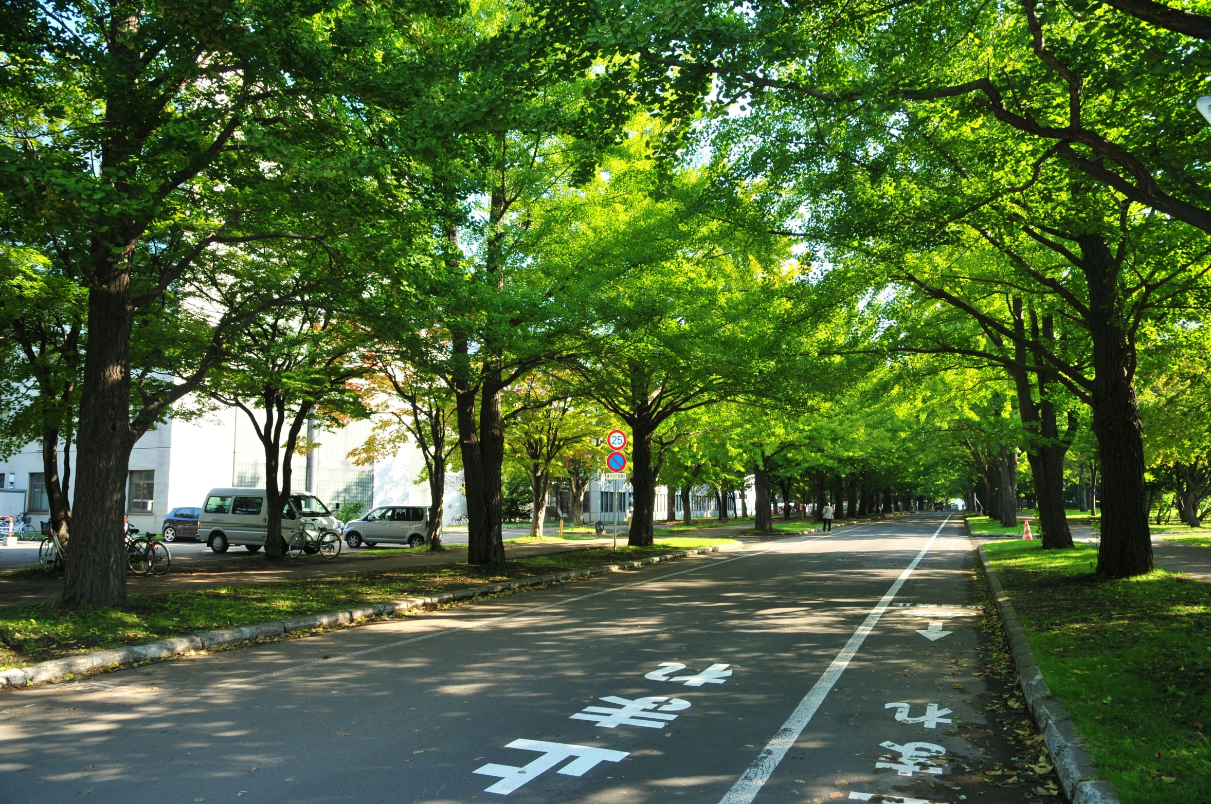 a street is lined with trees with asian writing written on the side