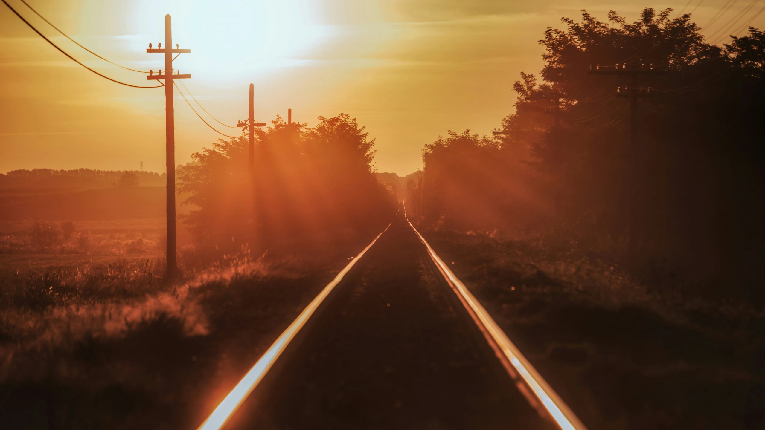 a po of a railroad track near a field with trees at sunset