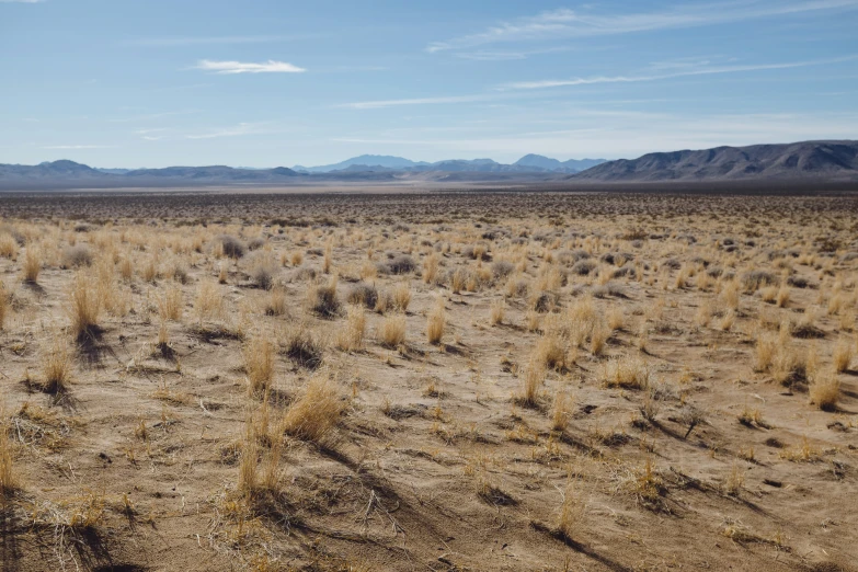 an open field with mountains in the distance