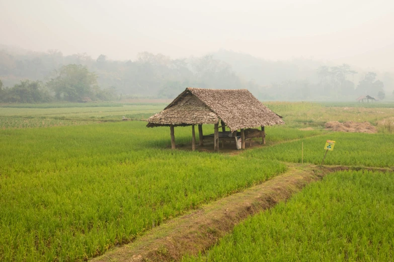 a rural house in the middle of a green field