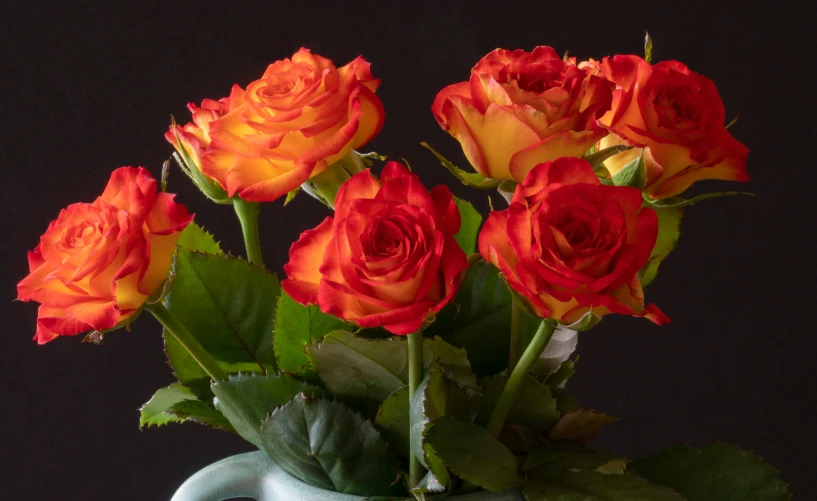 a small vase filled with roses against a black background