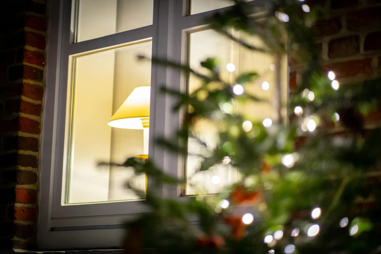 the tree is beside the window at night time