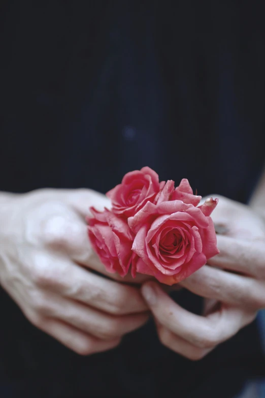 a person holding out two roses to the camera