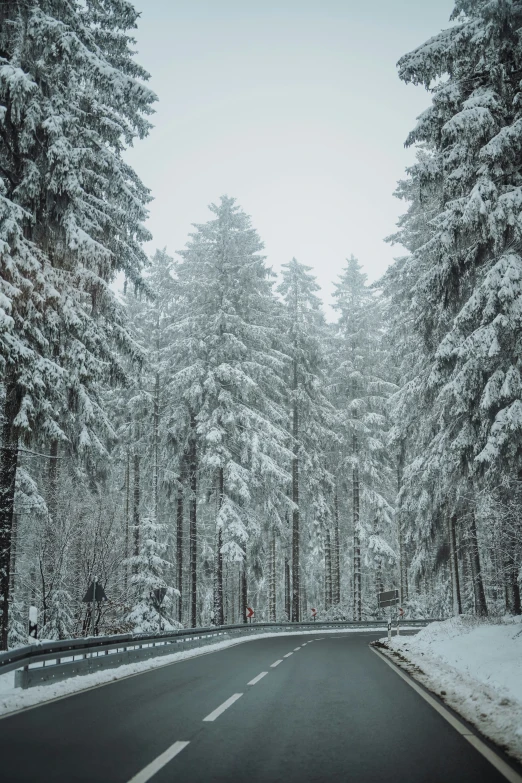 a snowy road with trees and a bench near by