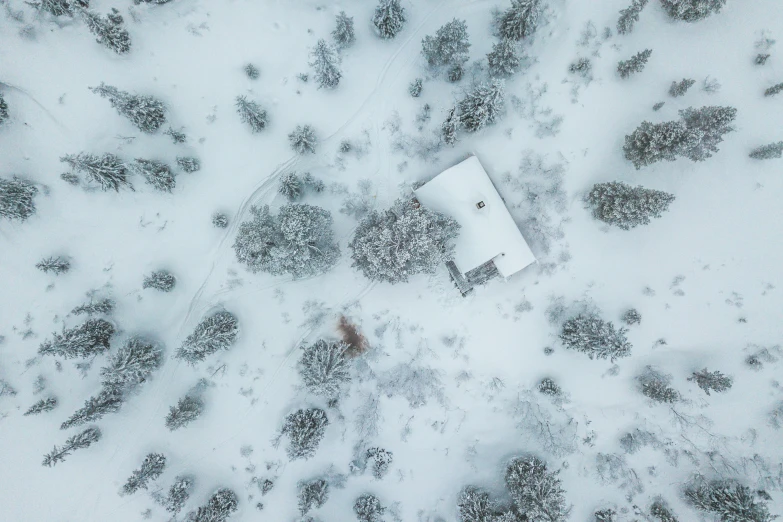 aerial s of animal tracks and a house on the snowy hill