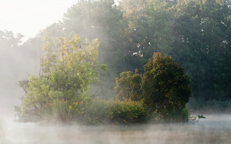 a misty scene is taken over water in the morning