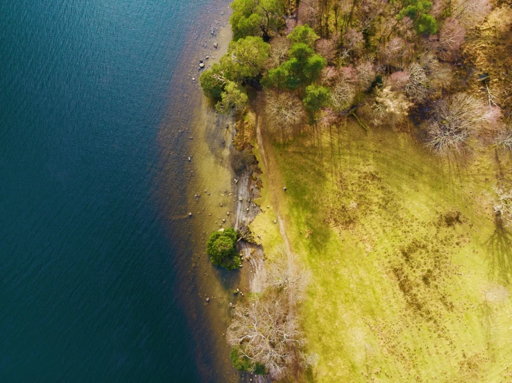 a body of water with a forest on one side and trees on the other