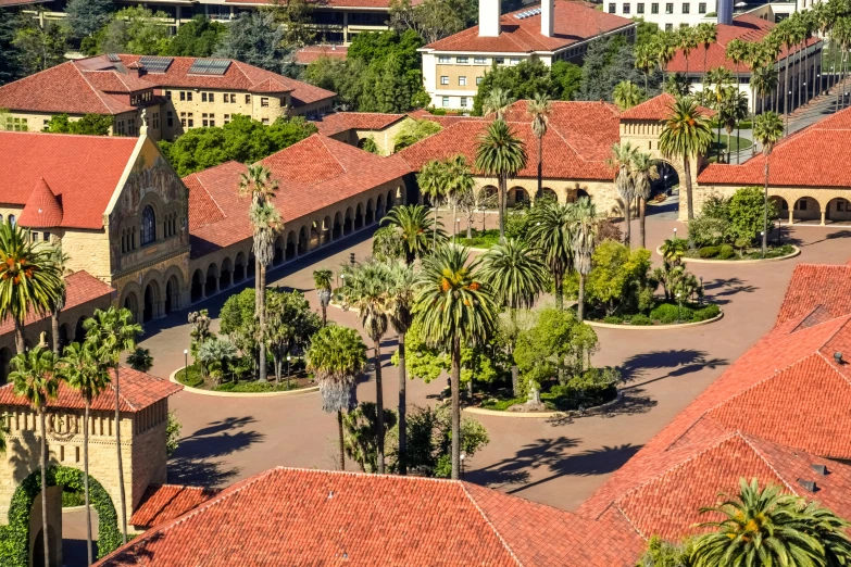 a large building surrounded by palm trees in front of an apartment