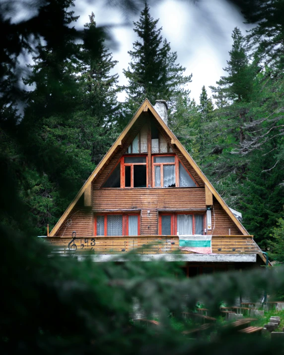 a house in the woods with a lot of windows