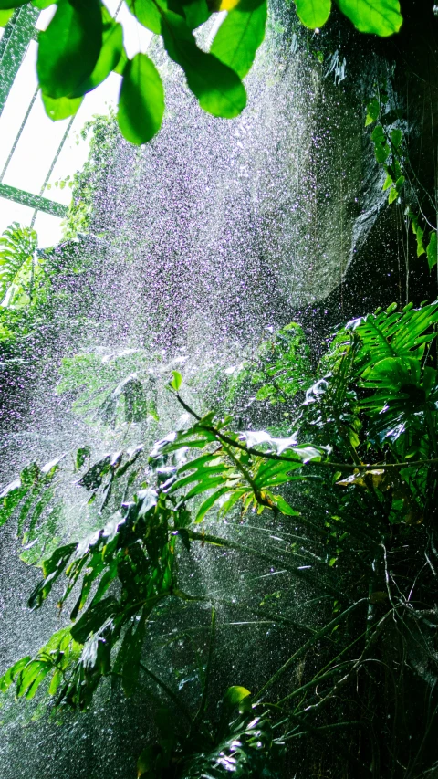 the water is gushing from a watering sprinkler