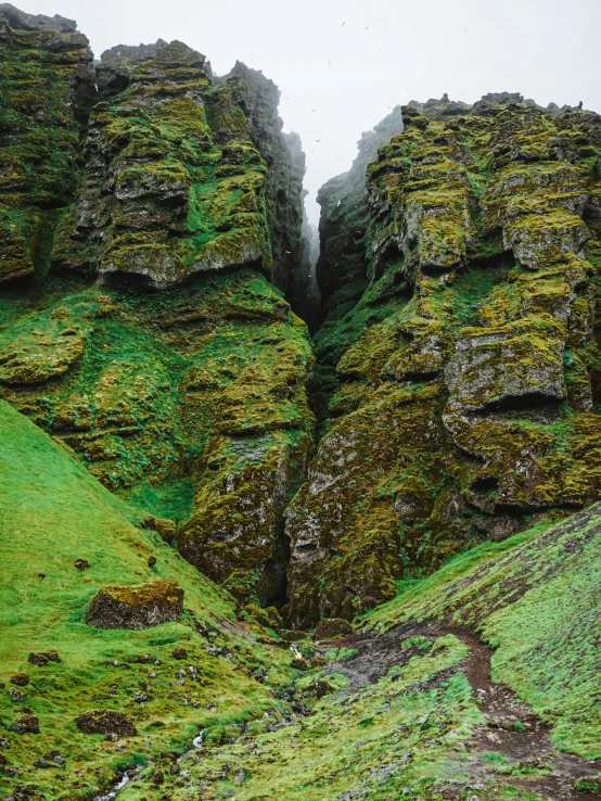 a mountain with very steep cliffs and grass around it