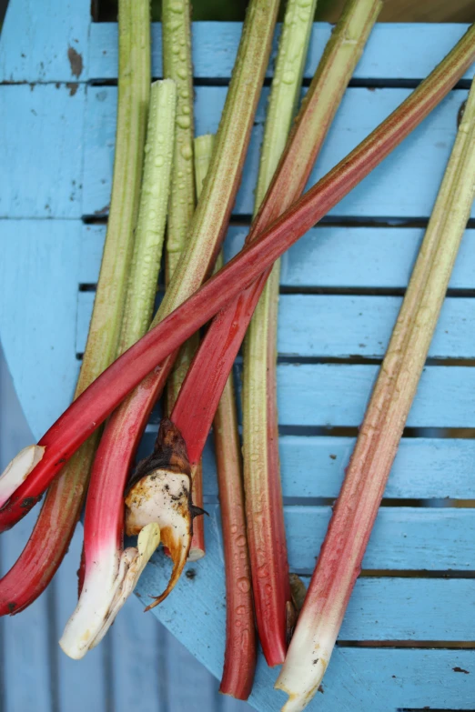 some onions and celery are on a blue tray