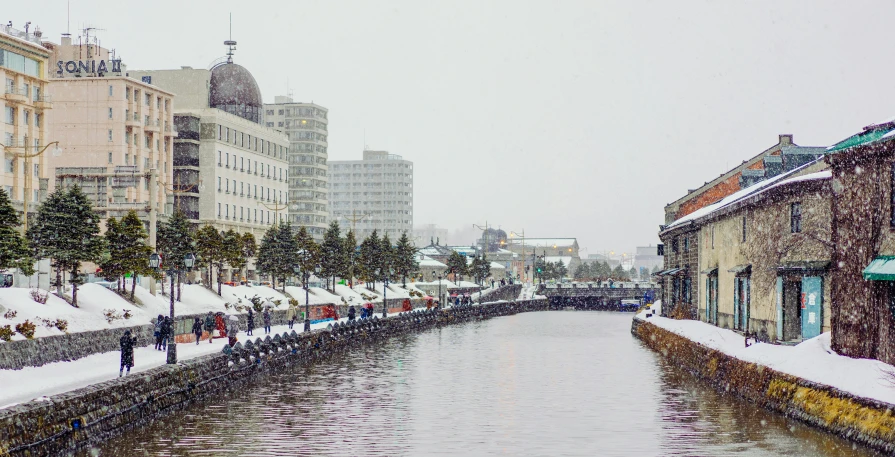 some buildings water trees and snow and people