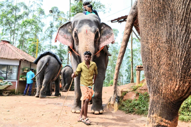 there is an elephant riding in front of a man