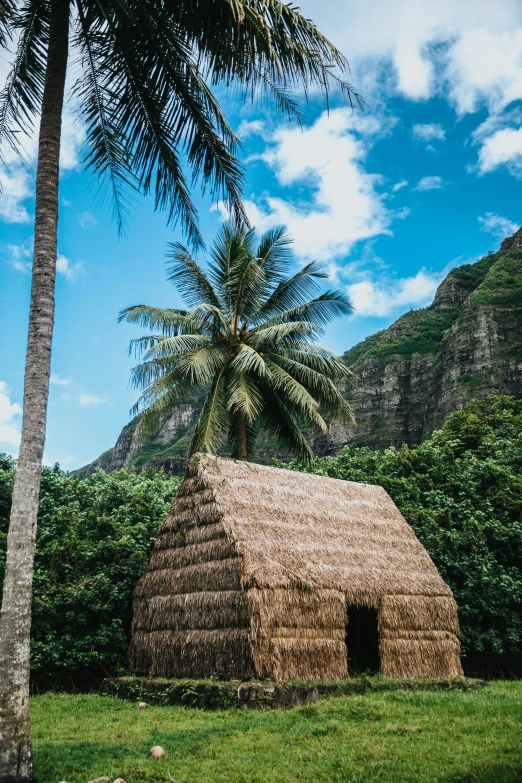 a small hut with trees surrounding it