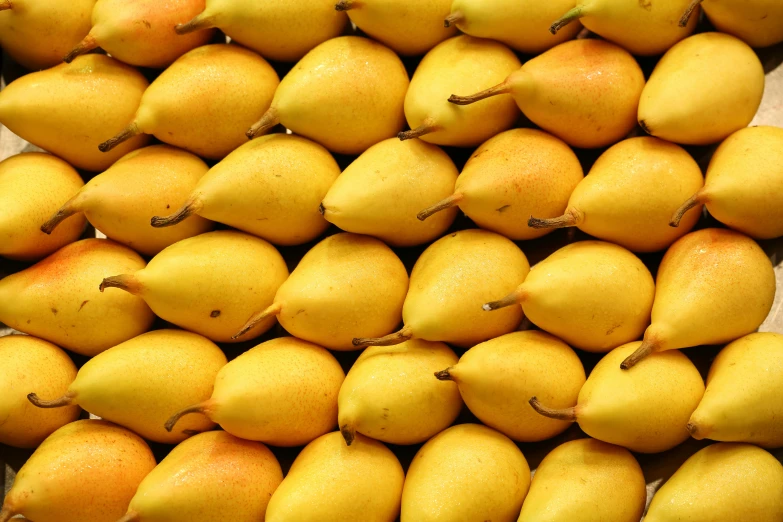 there is an arrangement of different pears on display