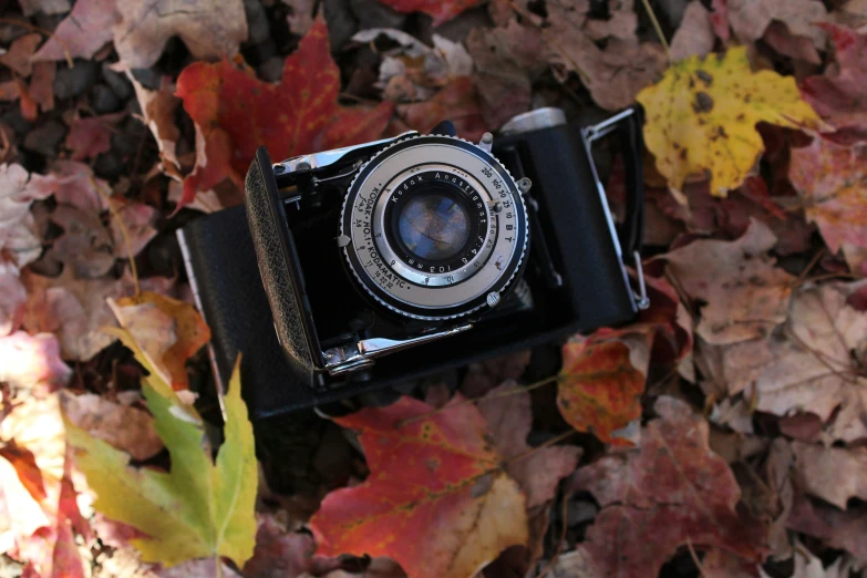 an old camera sitting on the ground covered with fall leaves