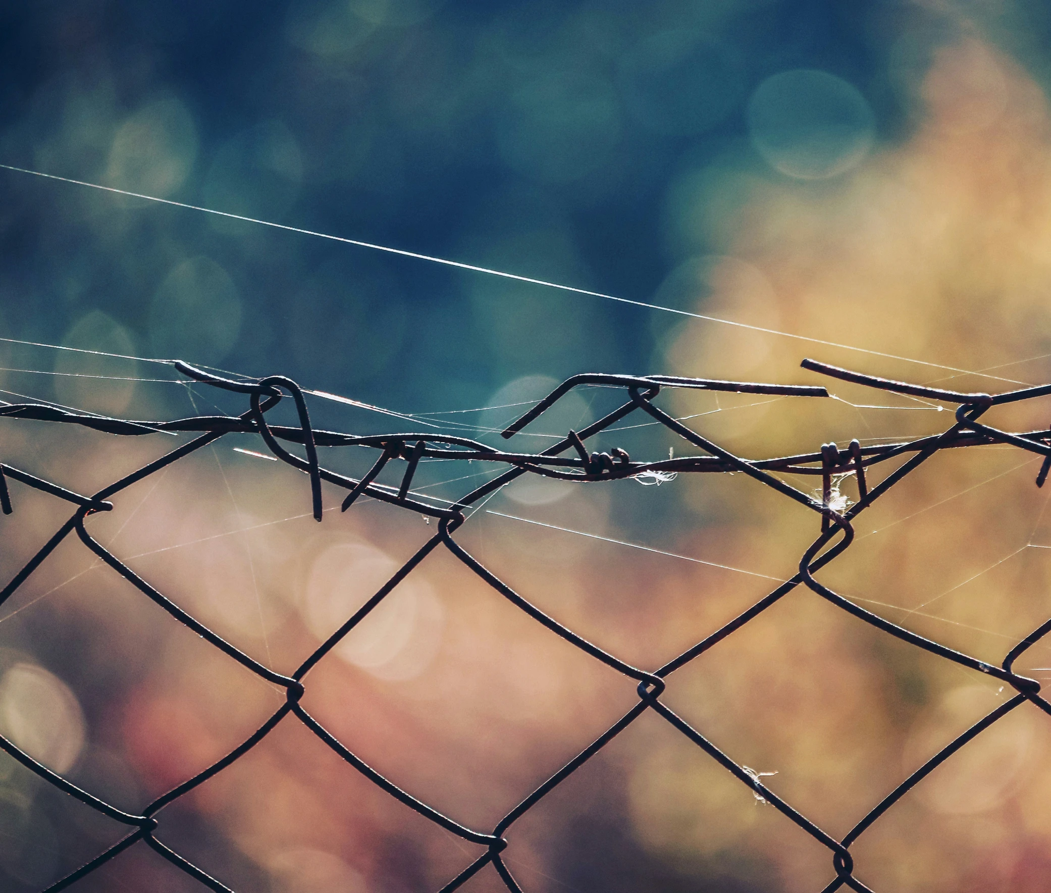 rain drops hanging from the wire with blurry background