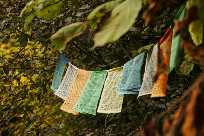 many colored papers hanging from a tree with leaves