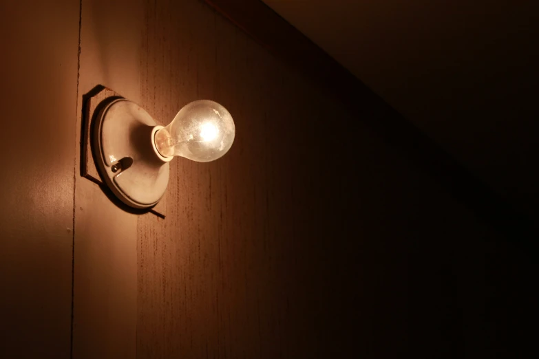 the light fixture is on a wooden panel wall