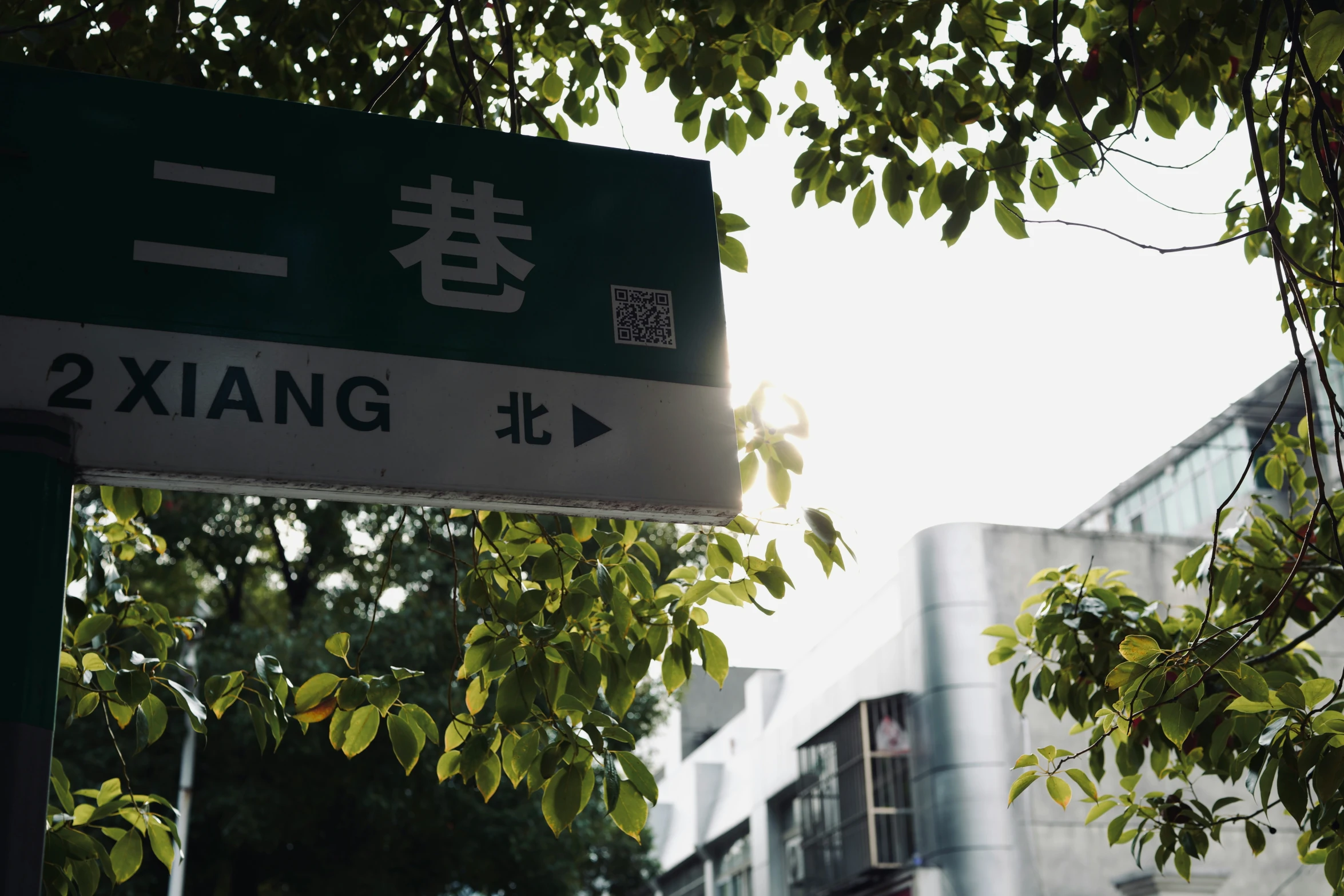 a green and white street sign next to a tall building