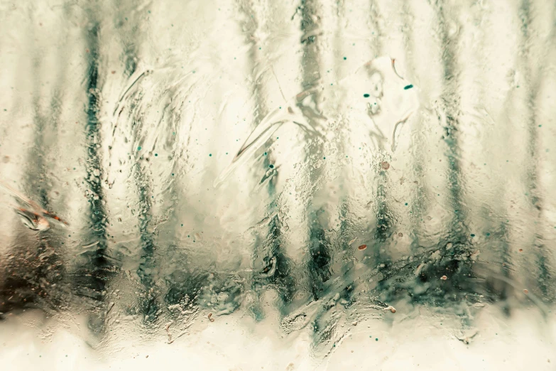 trees are seen through the frosty glass