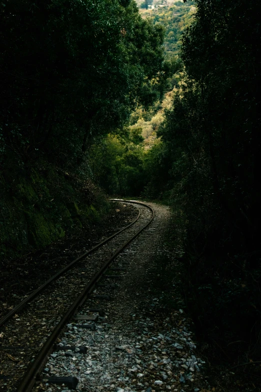 an image of a train track going into the woods