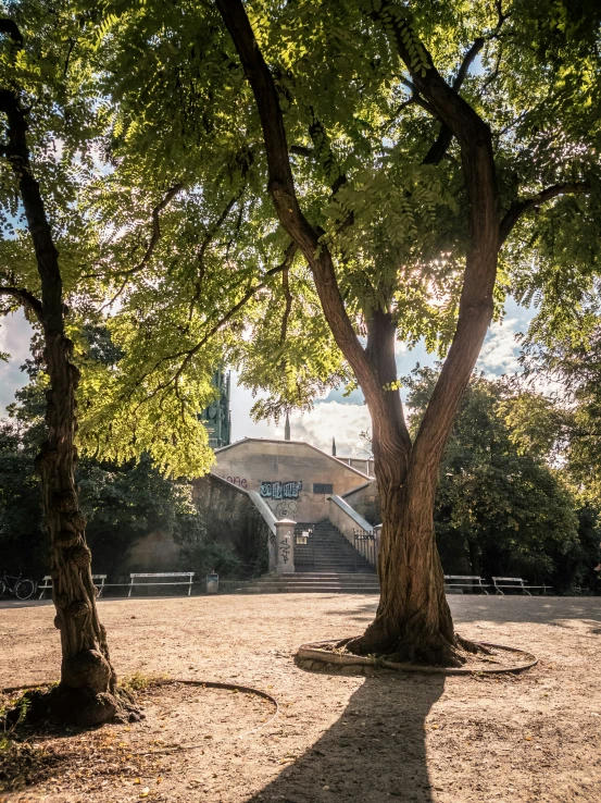 two trees are in front of a brick building