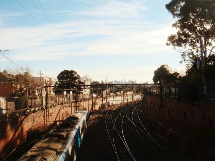 a train traveling past a tall tree covered hillside