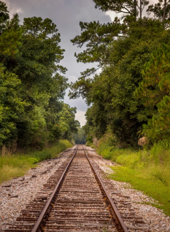 the train tracks are not parallel, but they are very thin