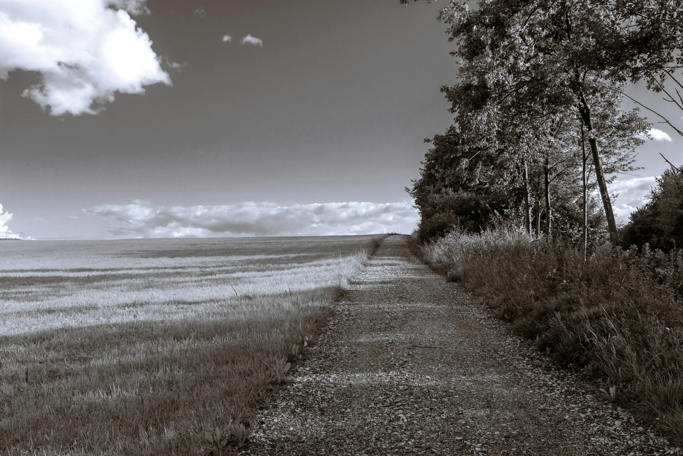 a dirt path is on the side of a grassy field